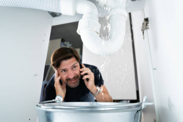 Best Clogged Drain Plumber  in Portage, IN